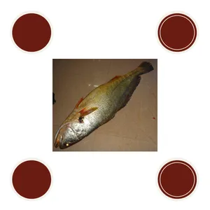 宏超测试用