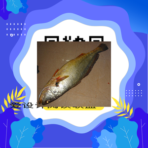 我要测试哦