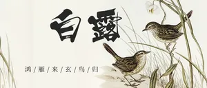 传统二十四节气白露微信公众号首图