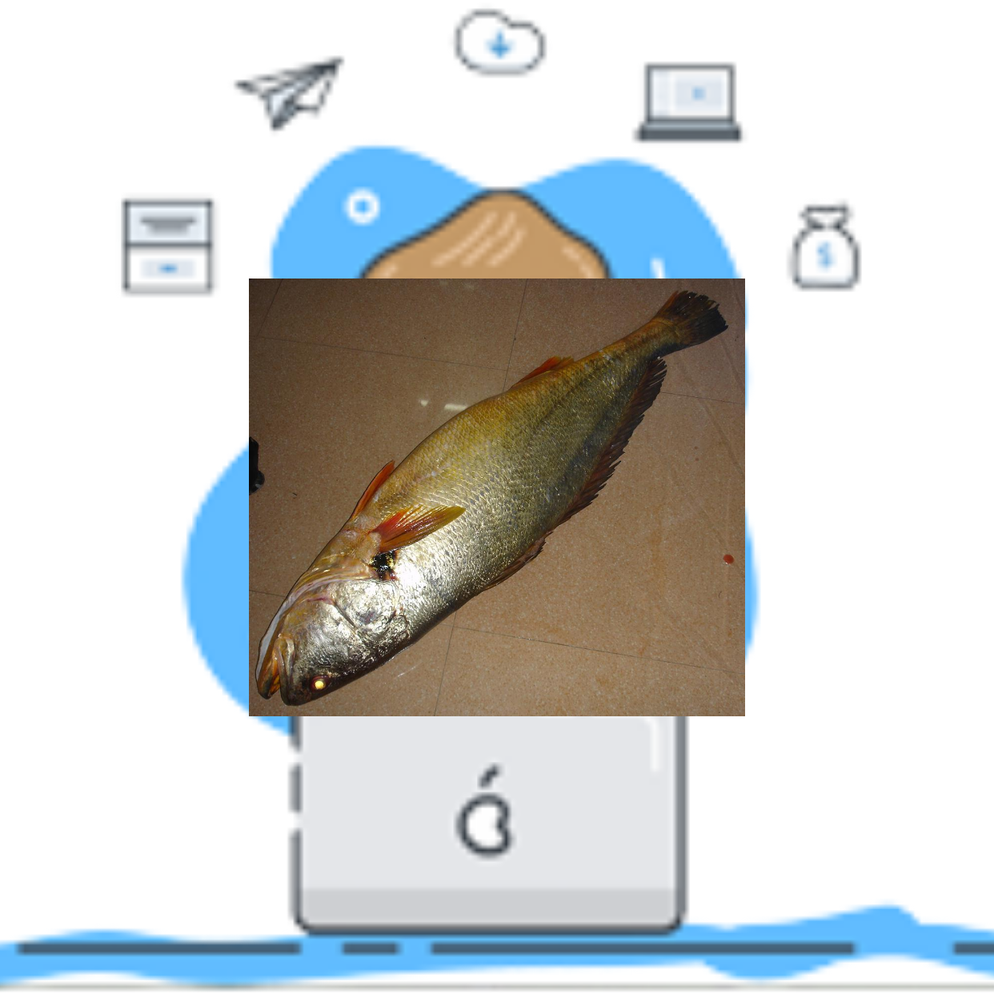 未命名123