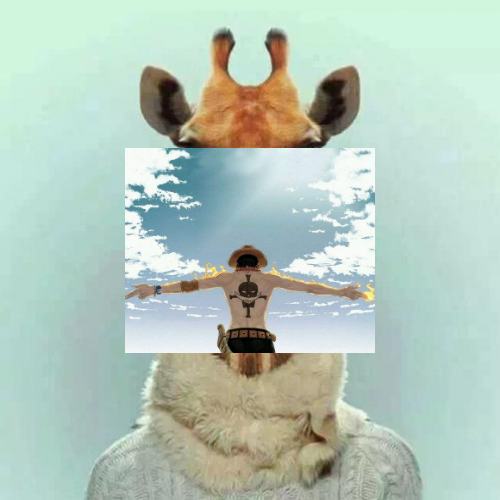 未命名11
