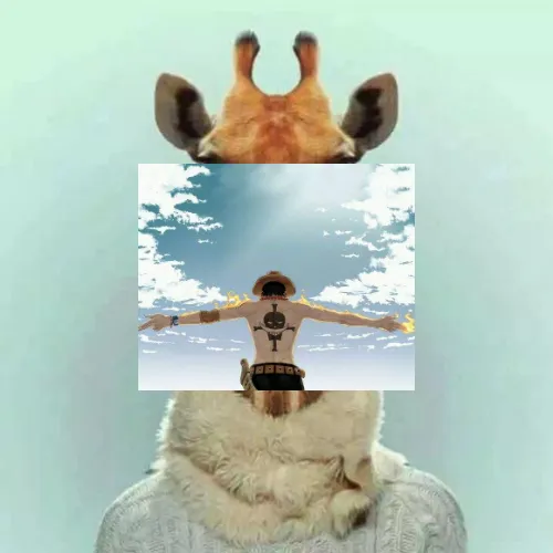 未命名11