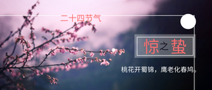 时尚简约惊蛰公众号封面首图