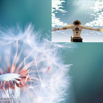 未命名123