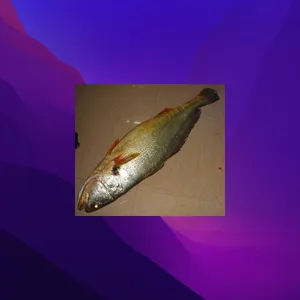 未命名123
