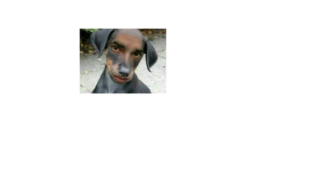 12345狗